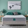 Bloom Queen Medium Mattress